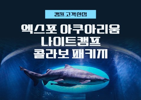 아쿠아리움 나이트캠프 콜라보 패키지